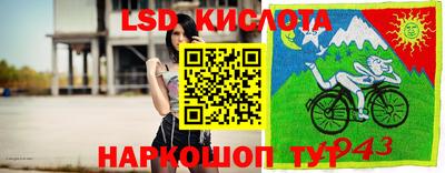 индика Пугачёв