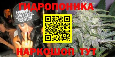 индика Пугачёв