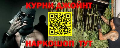 индика Пугачёв