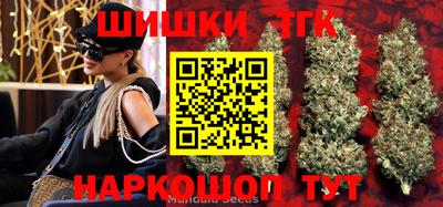 индика Пугачёв