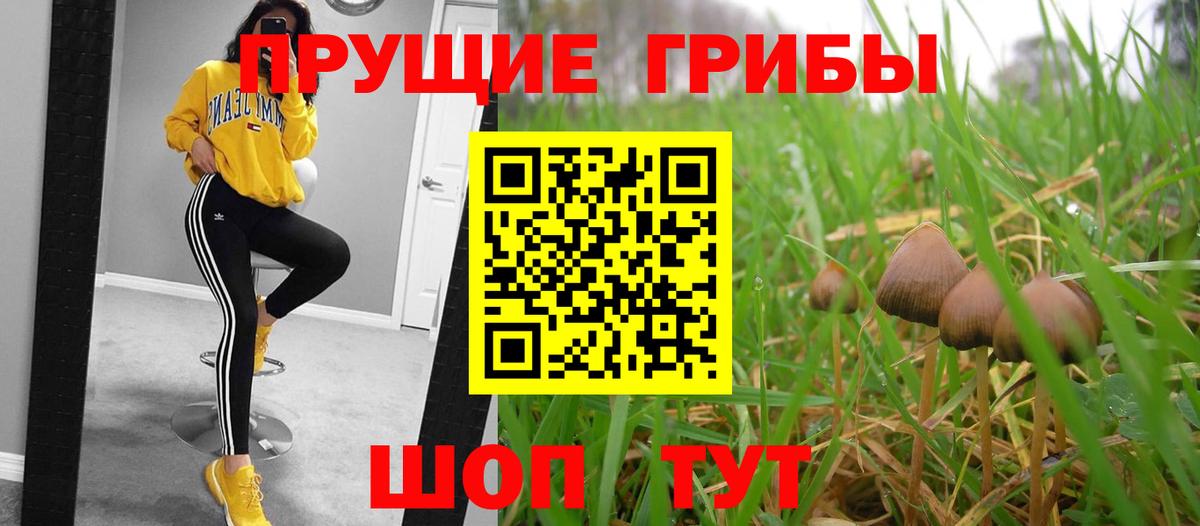 Галлюциногенные грибы Magic Shrooms Новотроицк